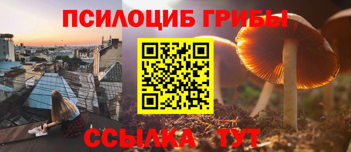 Псилоцибиновые грибы ЛСД Острогожск